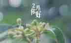 二月份教师工作总结范文5篇
