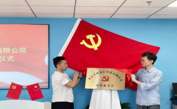 e支部建设工作总结7篇