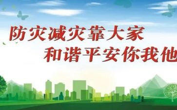 国际防灾日活动总结6篇