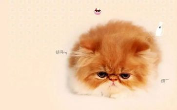 烦恼作文600字精选6篇