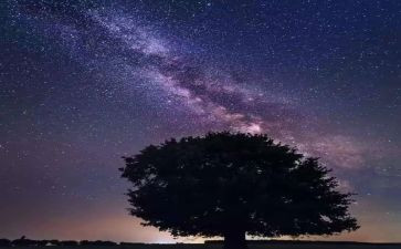 《繁星》读后感400字6篇