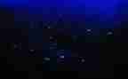 繁星读后感800字6篇