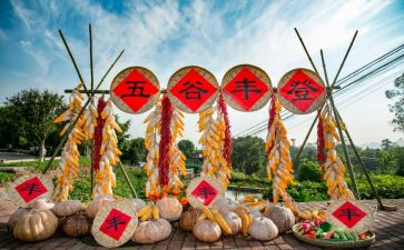 农民丰收节活动总结5篇