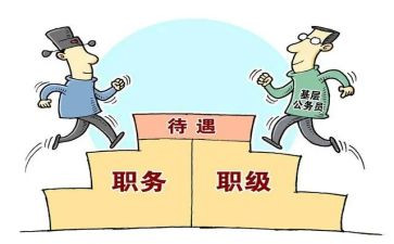财务副科长述职报告7篇