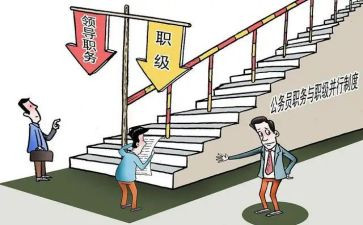 副职述职报告5篇