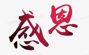 感恩老师心得体会精选7篇