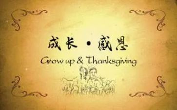 感恩帐心得体会5篇