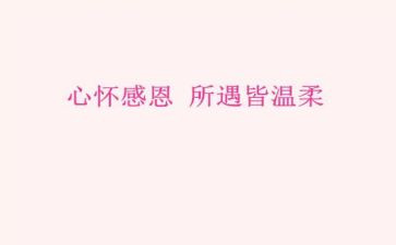 感恩老师作文500字8篇