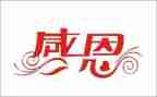 感恩节活动心得体会5篇