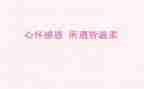 感恩教师活动的总结优秀6篇