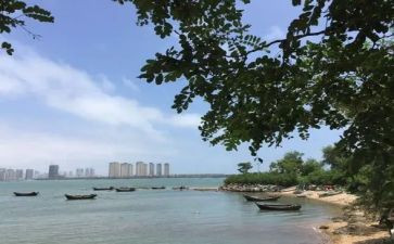 家是温暖的港湾作文600字6篇