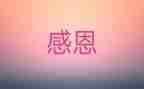 最感激的人作文精选5篇