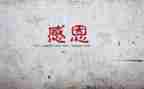 我感谢她作文精选6篇