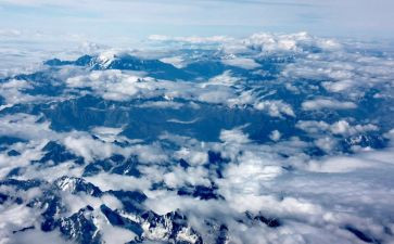 《青海高原一株柳》的读后感模板8篇