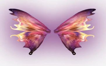 给梦想插上翅膀演讲稿5篇