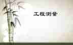 工程测量月报告总结6篇
