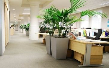 公司财务年度工作总结通用8篇