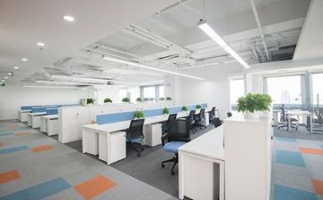 公司d活动心得体会6篇
