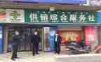 供销社农合联工作总结5篇