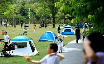 公园环境调查报告7篇