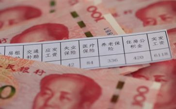 工资会计工作总结8篇