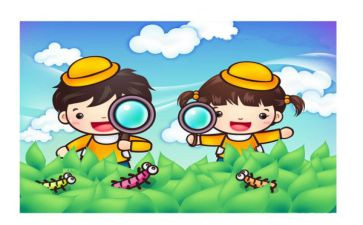 小学观察物体教学反思8篇