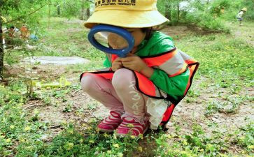幼儿园观察心得体会6篇