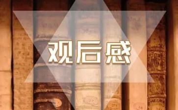 榜7观后感心得体会6篇