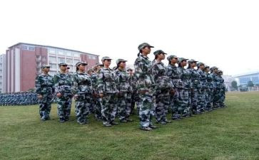 观训心得体会400字5篇