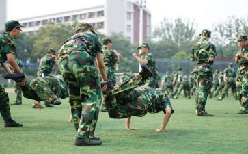 观训心得体会500字参考6篇