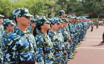 观训心得体会500字推荐8篇
