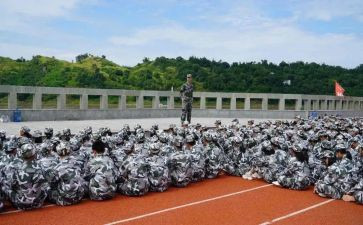 观训心得体会400字最新7篇