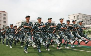 观训心得体会500字5篇