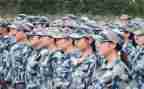 观训申请书范文最新5篇