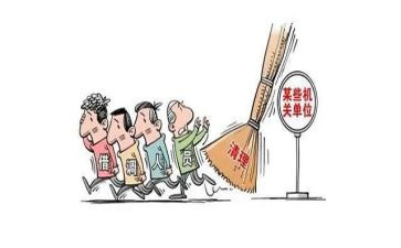 2024年挂职工作总结模板8篇