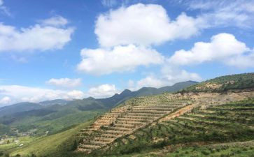 乡镇国土2023工作计划5篇