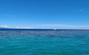 海训个人思想汇报优秀7篇