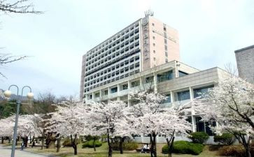去韩国的申请书6篇