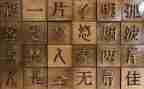 关与汉字的调查报告5篇