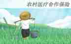 医院合疗个人年度工作总结推荐5篇