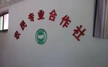 合作社合同优质6篇
