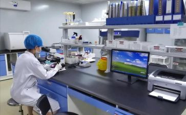 汛后检查工作报告优质5篇