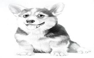 古诗《画》幼儿园教案优秀5篇