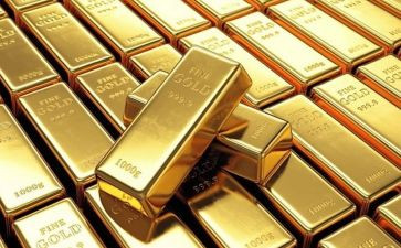 黄金指读后感8篇