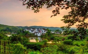 环境的作文精选5篇