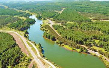 关于环境的报告调查报告7篇