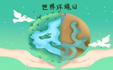 环境日活动总结5篇