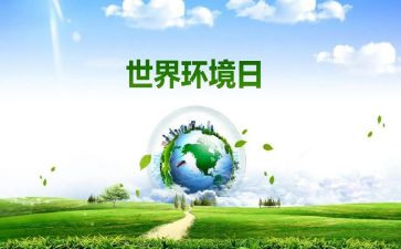 小学6.5环境日活动总结7篇