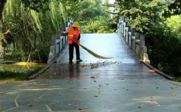 环卫处工作总结报告5篇