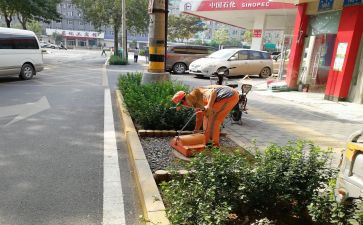 环卫所管理员工作总结7篇